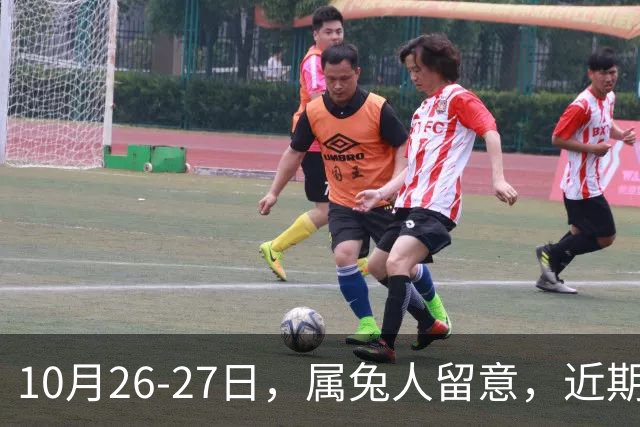 10月26-27日，属兔人留意，近期容易迎来人际沟通，提前做好准备